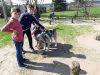5A Husky Farm 2