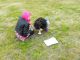 SDC10098.JPG