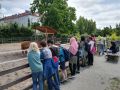 Kinderbauernhof Mauerpark